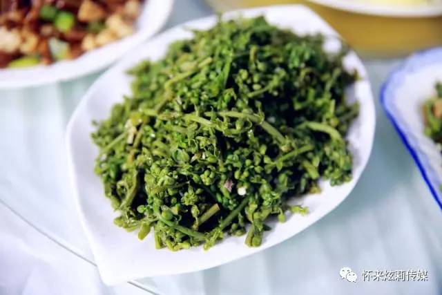 金鸡山庄:传统古韵与现代风情交融的艺术殿堂